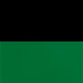Black/Green 