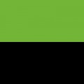 Lime(Green)/Black 