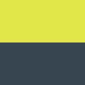 Yellow(Lime)/Charcoal 