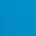  Cyan/Silver Grey 
