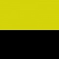 Yellow/Black 