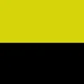 Yellow/Black 
