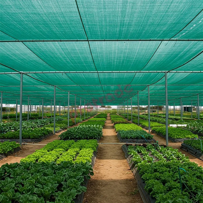 Premium 70% Shade Cloth – 170GSM, 3.66M x 50M