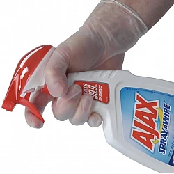 Bastion Vinyl Gloves Clear Powder Free