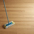 Floor Care (2)