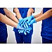 Apollo Nitrile Blue Powder Free Examination Gloves