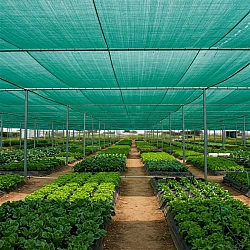 Premium 70% Shade Cloth – 170GSM, 3.66M x 50M