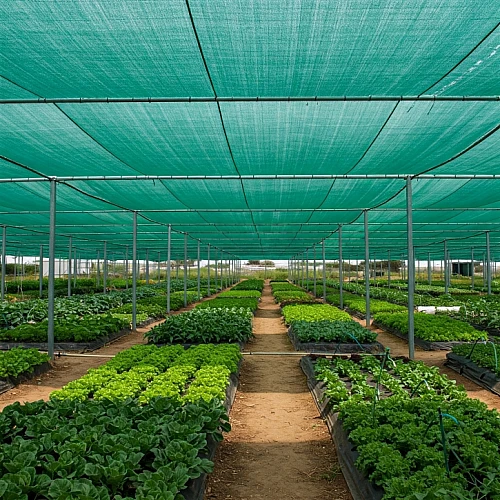 Premium 70% Shade Cloth – 170GSM, 3.66M x 50M