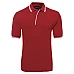 Polo Shirt With Pin Stripe