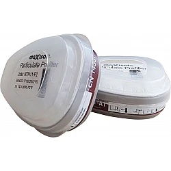 Maxiguard A1 Gas And P2 Filter Combo Cartridge