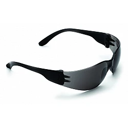 Bastion Safety Glasses Tinted Lens