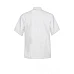 Executive Chef Jacket Short Sleeves Light - Cj052